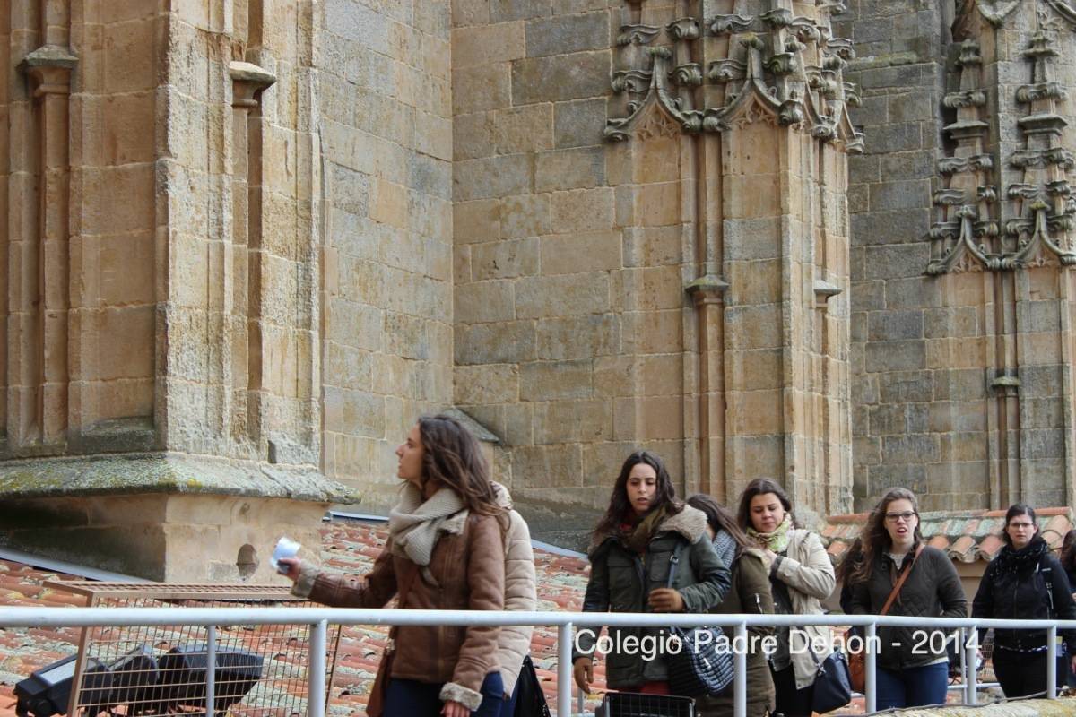 2014 03 22 SALAMANCA IERONIMUS CATEDRAL (99)